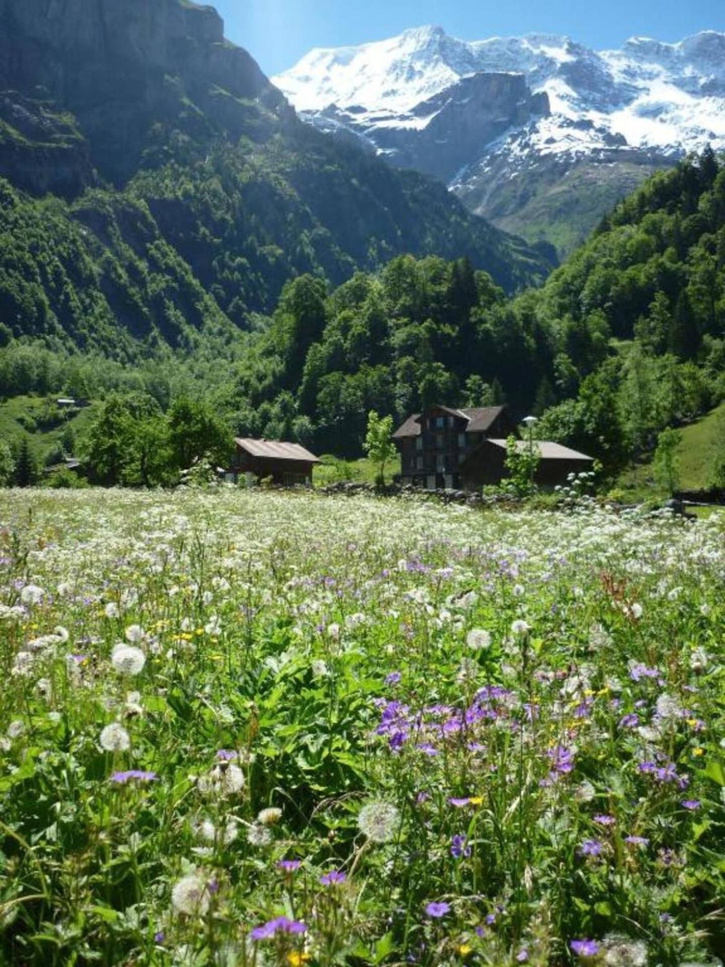 Alpenhof Mountain Lodge Stechelberg Eksteriør bilde